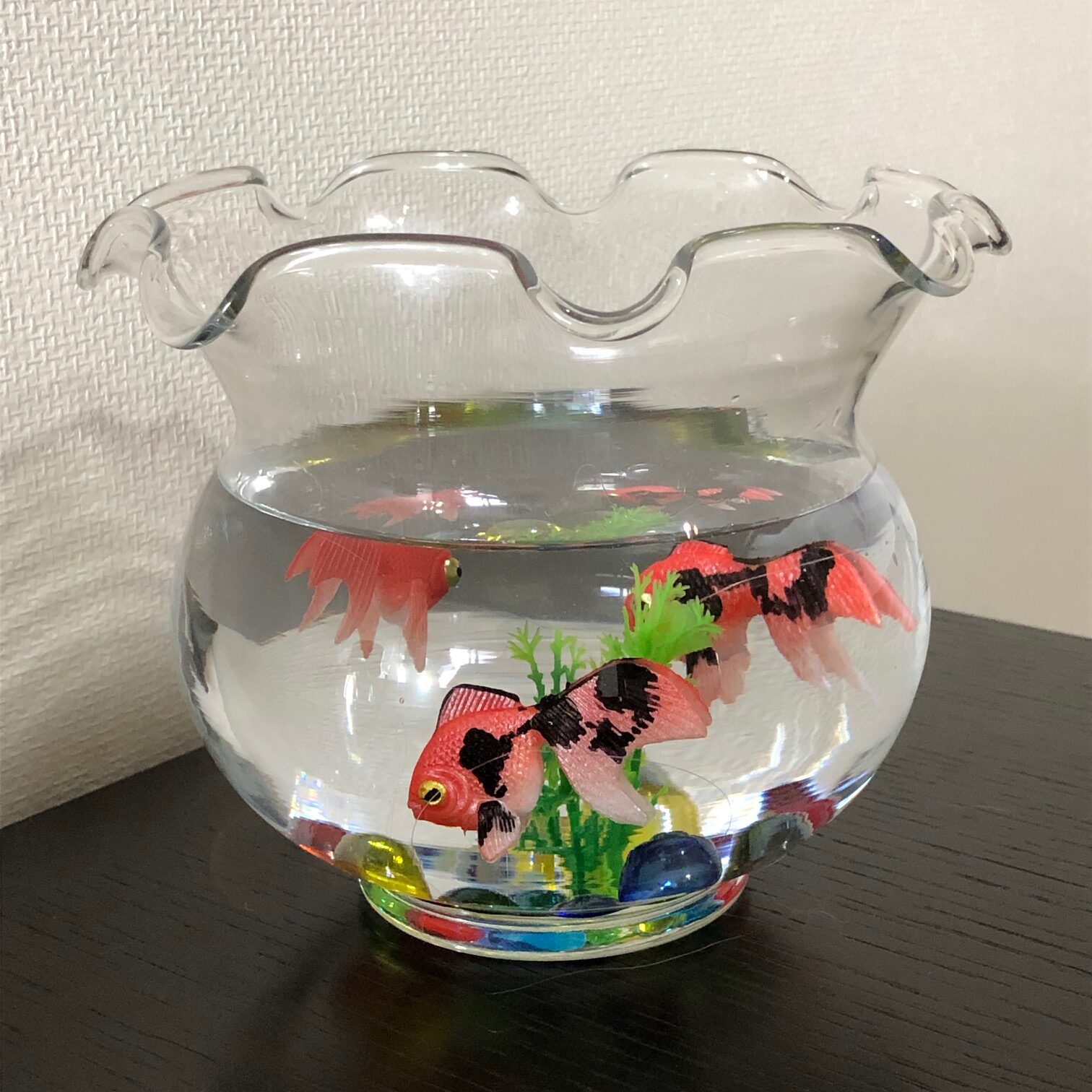 金魚鉢セット